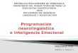 Programacion neurolinguistica e inteligencia emocional en el liderazgo