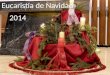 Eucaristía navidad 2014