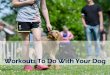 Workouts To Do With Your Dog