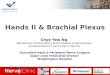 FRCS Revision - Brachial Plexus & Hands