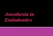 Anesthesia in endodontics