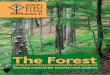 The Forest- within the context of sustainable development