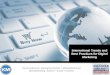 E-Commerce Strategies: International Trends and Best Practices for Digital Marketing