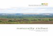 naturally richer - A Natural Capital Investment Strategy for Surrey