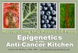 Harnessing the Power of Food: Epigenetics in the Anti-Cancer Kitchen