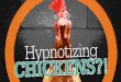 Chicken Hypnosis & Bad Presentations #PresentationTips