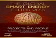 Global Smart Energy Elites