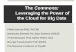 The Commons: Leveraging the Power of the Cloud for Big Data