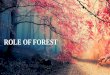 Role of forest