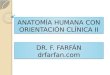ANATOMÍA HUMANA II - CLASE 2 - DR F. FARFÁN