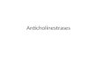 Anticholinestrases by Dr. Pramod