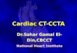 Cardiac ct ccta