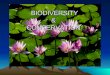 Biodiversity presentation   copy