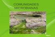 Comunidades microbianas