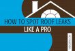 How to Spot Roof Leaks Like a Pro