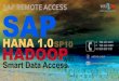 SAP IDES Remote Access