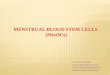 Menstrual Blood stem cells