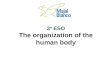 Unit 1. The organisation of the human body
