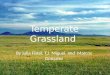 Temperate grassland PERIOD 3