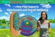 Protect mitochondria & boost energy levels with the powerful antioxidant pqq