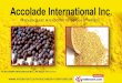 Spices Chillies & Powder by Accolade International Inc. Mumbai