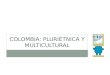 Colombia pluriétnica y multicultural