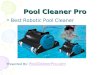 Pool cleaner pro