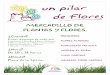 Cartel Mercadillo de flores "Un Pilar de Flores" de Pilar de la Horadada 2012