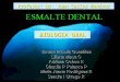 Biología del Esmalte Dental Humano