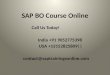 Sap bo course online