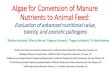 Algae For Conversion of Manure Nutrients to Animal Feed: Evaluation Of Advanced Nutritional Value, Toxicity, And Zoonotic Pathogens