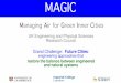 MAGIC – Managing Air for Green Inner Cities