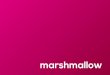 Marshmallow - ONG para empreendedores criativos