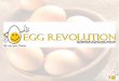 Egg Revo(Corpp)
