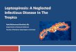 Leptospirosis  a neglected infectious disease in the tropics