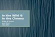 In the wild & in the cinema