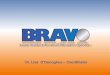 BRAVO Presentation ODonoghue email email