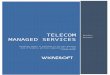 Wicresoft _Telecom Managed Services