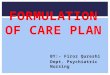 Formulation of care plan