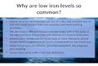 Questions/Answers about iron and heme iron
