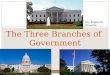 Three Branches of Government EDU 290 presentation