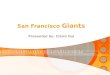 San francisco giants