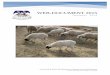 Livestock & dairy development department balochistan  web document