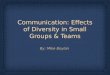 Communication: Diversity In Small Groups & Teams