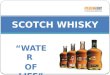 Scotch Whisky - Water of Life