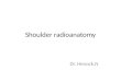 Shoulder radiologic anatomy