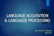Language acquisition &language processing