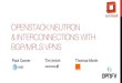 Openstack Neutron & Interconnections with BGP/MPLS VPNs