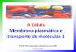 Aula 1   a célula - memb plasm e transp mol 5 - parte 1 - 2-2015 aprender