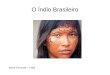 índio brasileiro   maria fernanda